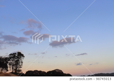 Twilight sky, clouds, trees 98745013