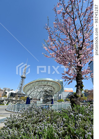 Nagoya Sakae neighborhood in spring 98745287