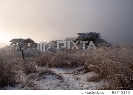 Winter scenery 98745370