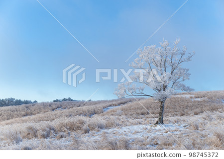 Beautiful rafter 98745372