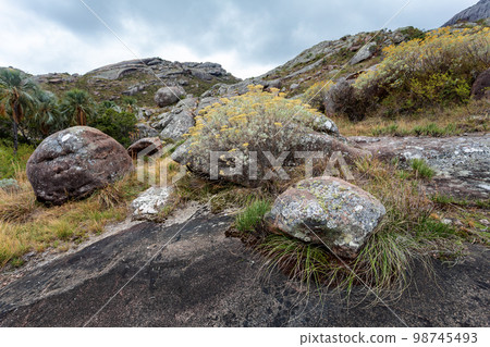 Andringitra national park,mountain landscape, Madagascar wilderness landscape 98745493