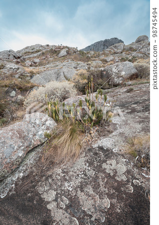 Andringitra national park,mountain landscape, Madagascar wilderness landscape 98745494