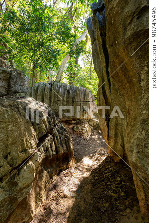 Petit Tsingy de Bemaraha, Madagascar wilderness landscape Petit Tsingy de Bemaraha, Madagascar wilderness landscape 98745496
