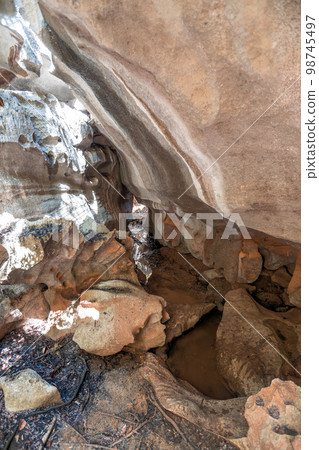Petit Tsingy de Bemaraha, Madagascar wilderness landscape Petit Tsingy de Bemaraha, Madagascar wilderness landscape 98745497
