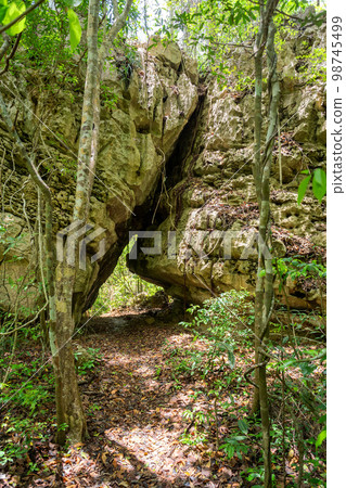 Petit Tsingy de Bemaraha, Madagascar wilderness landscape 98745499