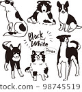 Illustration of a black and white mongrel dog 98745519