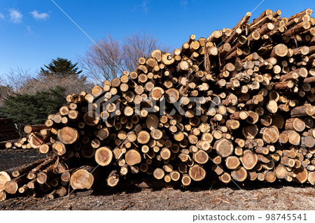 Cut logs Cut logs 98745541