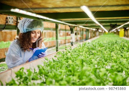 Joyful female gardener standing by shelf with green leafy plants and writing on clipboard. Smiling woman agricultural scientist studying plant growth and taking notes in greenhouse. Joyful female gardener standing by shelf with green leafy plants and writing on clipboard. Smiling woman agricultural scientist studying plant growth and taking notes in greenhouse. 98745860
