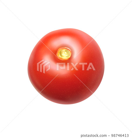 Washed Tomato Realistic Composition Washed Tomato Realistic Composition 98746413