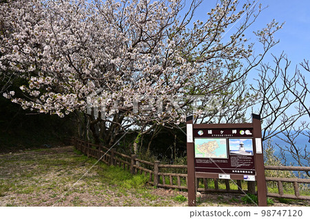 Cape Kyoga in spring Cape Kyoga in spring 98747120