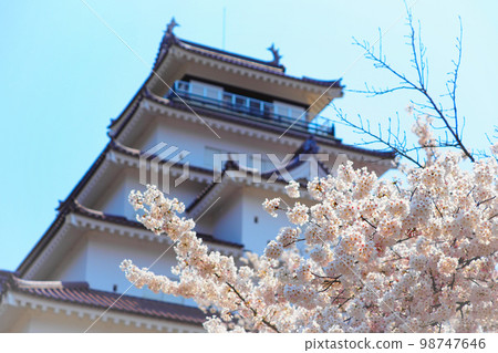 櫻花盛開和會津若松城（敦賀城），福島縣會津若松市 98747646
