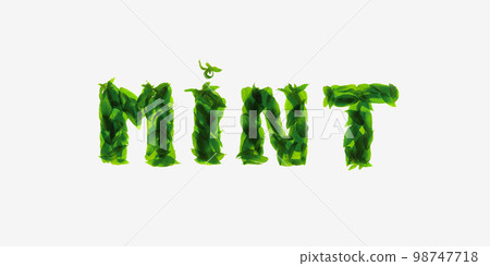Mint leaves isolated on white background. The inscription calligraphic font: freshness. Mint leaves isolated on white background. The inscription calligraphic font: freshness. 98747718