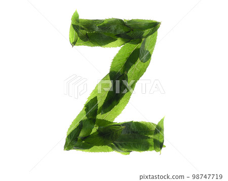 English alphabet made of a mint leaves isolated on white background. English alphabet made of a mint leaves isolated on white background. 98747719