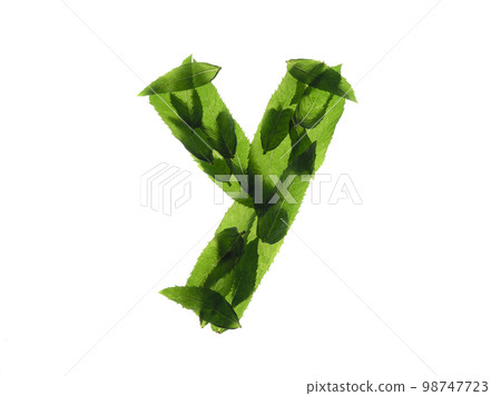 English alphabet made of a mint leaves isolated on white background. 98747723