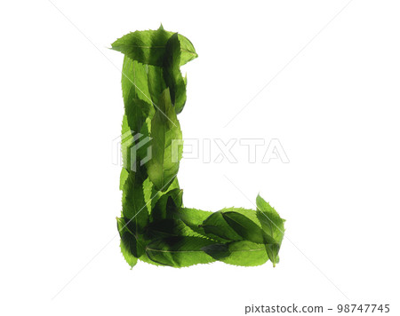 English alphabet made of a mint leaves isolated on white background. 98747745
