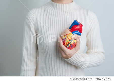 Woman holding human Heart model. Cardiovascular Diseases, Atherosclerosis, Hypertensive Heart, Valvular Heart, Aortopulmonary window, world Heart day and health concept 98747869