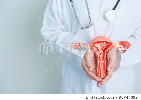 Doctor holding Uterus and Ovaries model. Ovarian and Cervical cancer, Cervix disorder, Endometriosis, Hysterectomy, Uterine fibroids, Reproductive system and Pregnancy concept 98747882