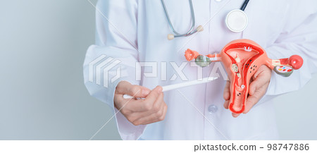 Doctor holding Uterus and Ovaries model. Ovarian and Cervical cancer, Cervix disorder, Endometriosis, Hysterectomy, Uterine fibroids, Reproductive system and Pregnancy concept 98747886