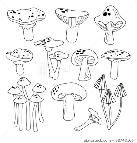 Black and white mushrooms set. Outline design. Decorative style collection hand drawn. Different cartoon mushrooms. Vector illustration. EPS 98748166