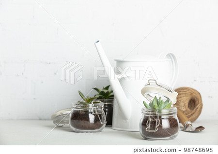 Small succulent plants in glass jar pots and garden tools against white brick wall 98748698