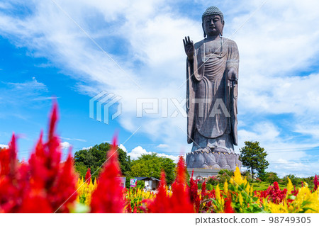 Ushiku大佛 98749305