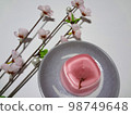 櫻花果凍 98749648