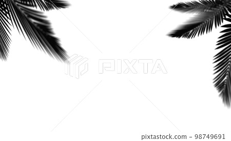 abstract background of shadows palm leaf on a white wall. White and Black. 3d rendering 98749691