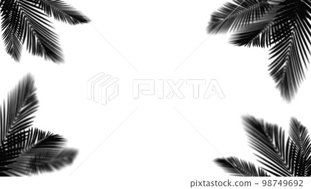 abstract background of shadows palm leaf on a white wall. White and Black. 3d rendering abstract background of shadows palm leaf on a white wall. White and Black. 3d rendering 98749692