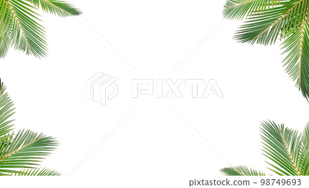 fresh green leaves front of the white blackground. 3d rendering 98749693