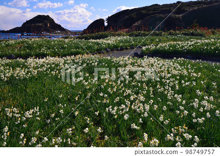 Ninagasaki in Izushita Ninagasaki in Izushita 98749757