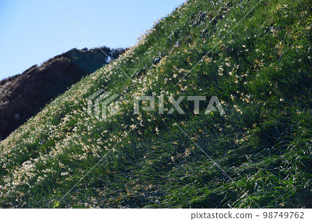 Izushita的Ninagasaki Izushita的Ninagasaki 98749762