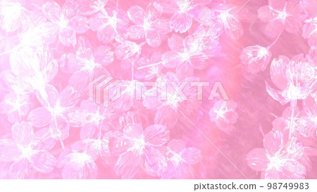 Spring image of white cherry blossom silhouette and halo rainbow ring pale color background wallpaper (3DCG image) 98749983
