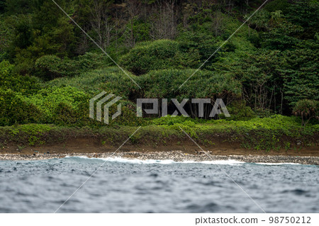 小笠原石浦海灘 98750212