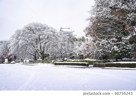 名古屋城堡在冬天 98750243