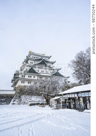 名古屋城堡在冬天 98750244