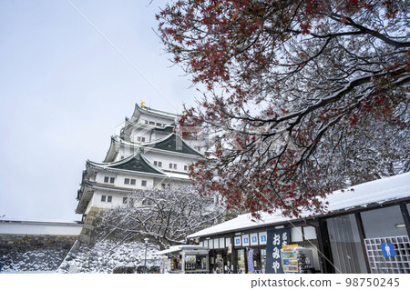 名古屋城堡在冬天 98750245