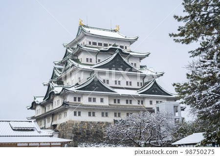 名古屋城堡在冬天 98750275
