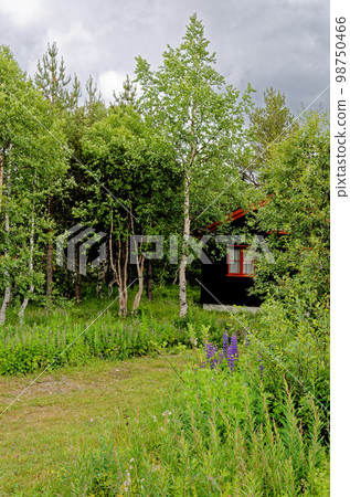 Landscape of Traditional Norwegian house - Norway 98750466