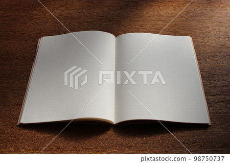 Blank notebook (synthetic material) 98750737