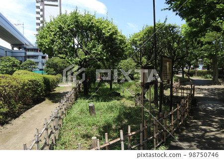 精石蒲田梅屋敷公園 98750746