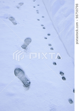 雪天人和狗的腳印 98750798
