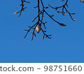 Bud 98751660