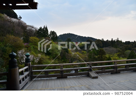日本京都,春天的清水寺,櫻花,新綠,從主殿看到的三層寶塔,國寶清水舞台,黃昏的城市景觀 日本京都,春天的清水寺,櫻花,新綠,從主殿看到的三層寶塔,國寶清水舞台,黃昏的城市景觀 98752004