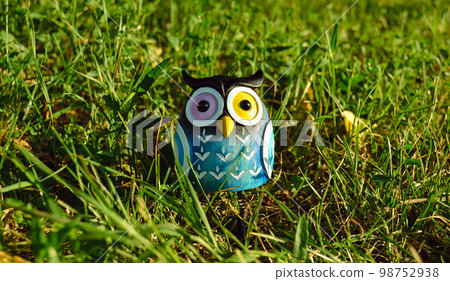 A toy of a surprised blue-colored owl with multi-colored eyes close-up stands in the middle of green grass in the light of the evening sun 98752938