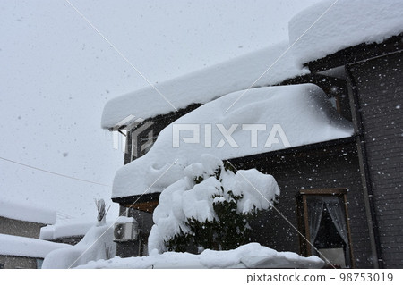 House roof House roof 98753019