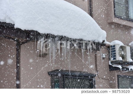 House roof House roof 98753020