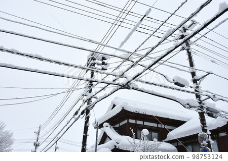 Snow country 98753124