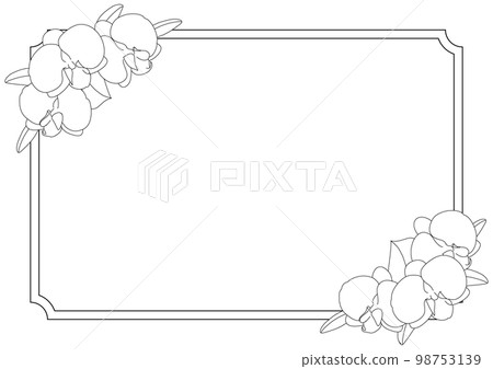 蝴蝶蘭可愛的黑白線描插圖框架材料矩形 98753139