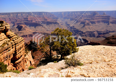 Grand Canyon Arizona Grand Canyon Arizona 98753158