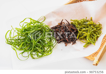 三種海藻 98753256